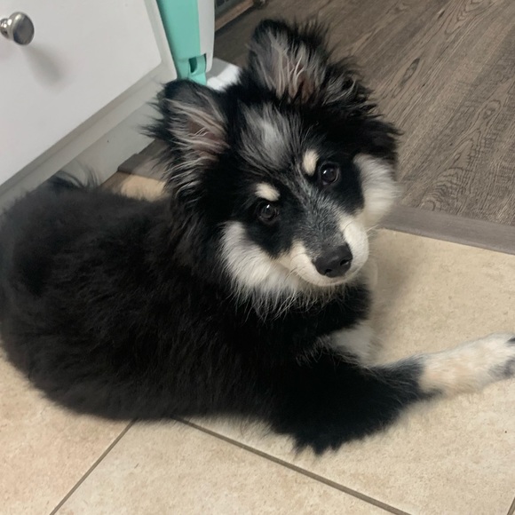 Meet your Posher, Kati - Picture 7 of 13